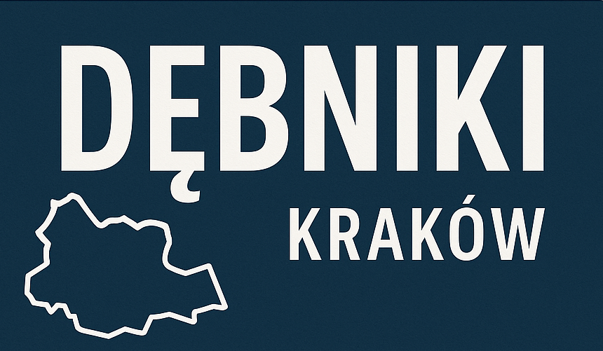Naprawy Laptopów i Konsol DĘBNIKI